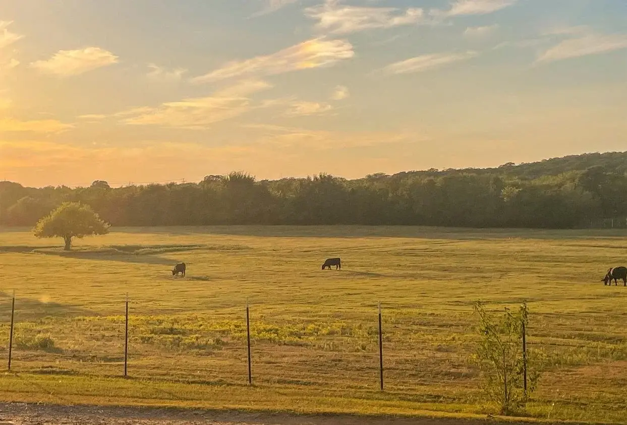 Texas Ranch with low fence